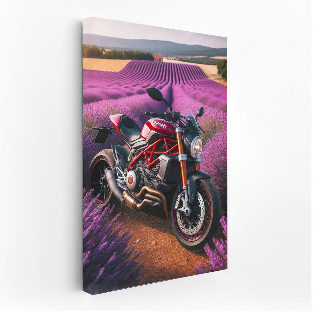 Ducati in Lavender Fields: Speed and Tranquility