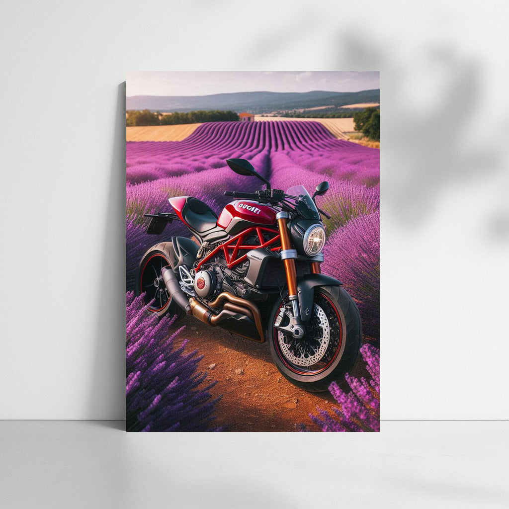 Ducati in Lavender Fields: Speed and Tranquility