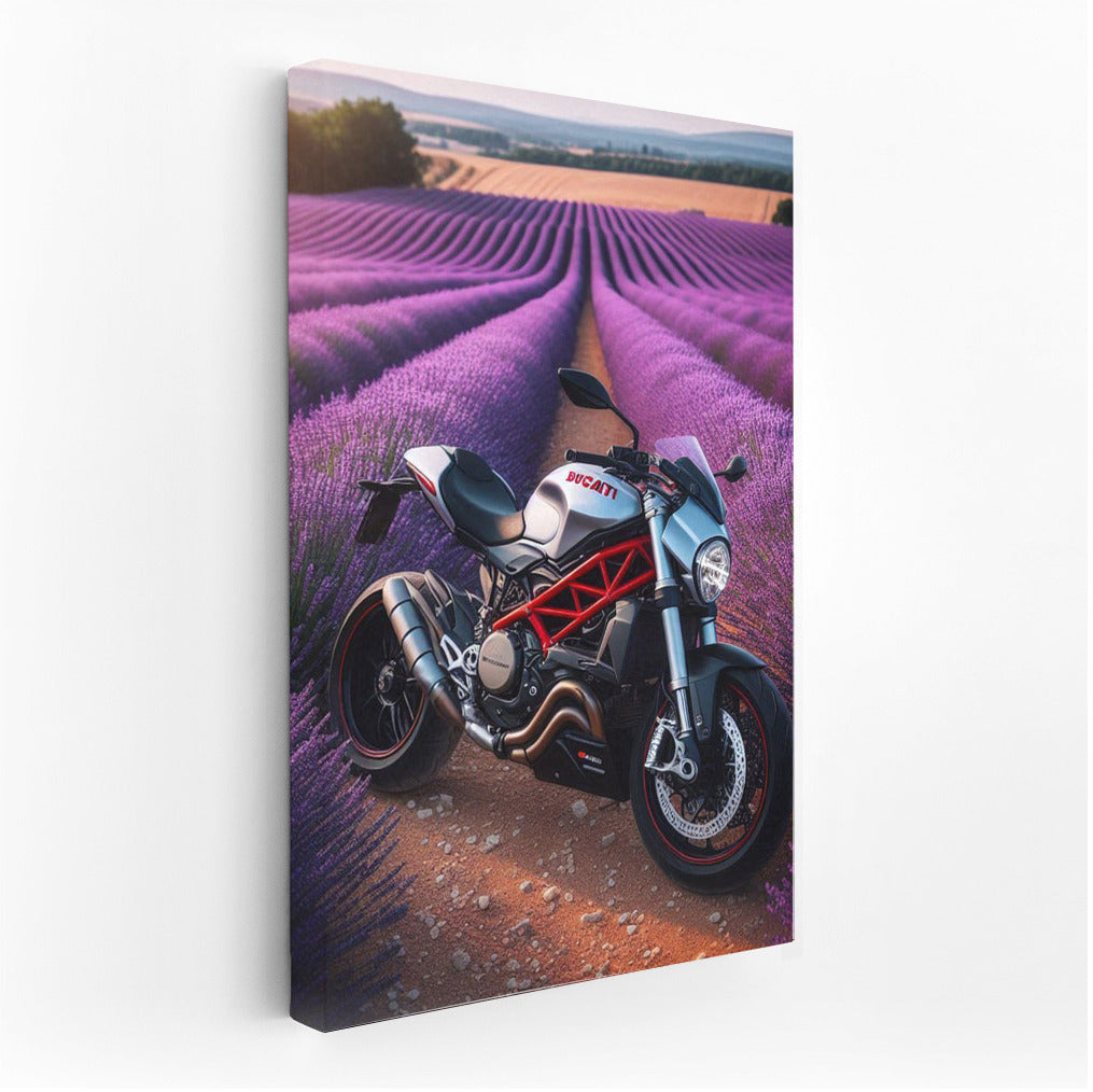 Ducati in Lavender Fields: Speed and Nature