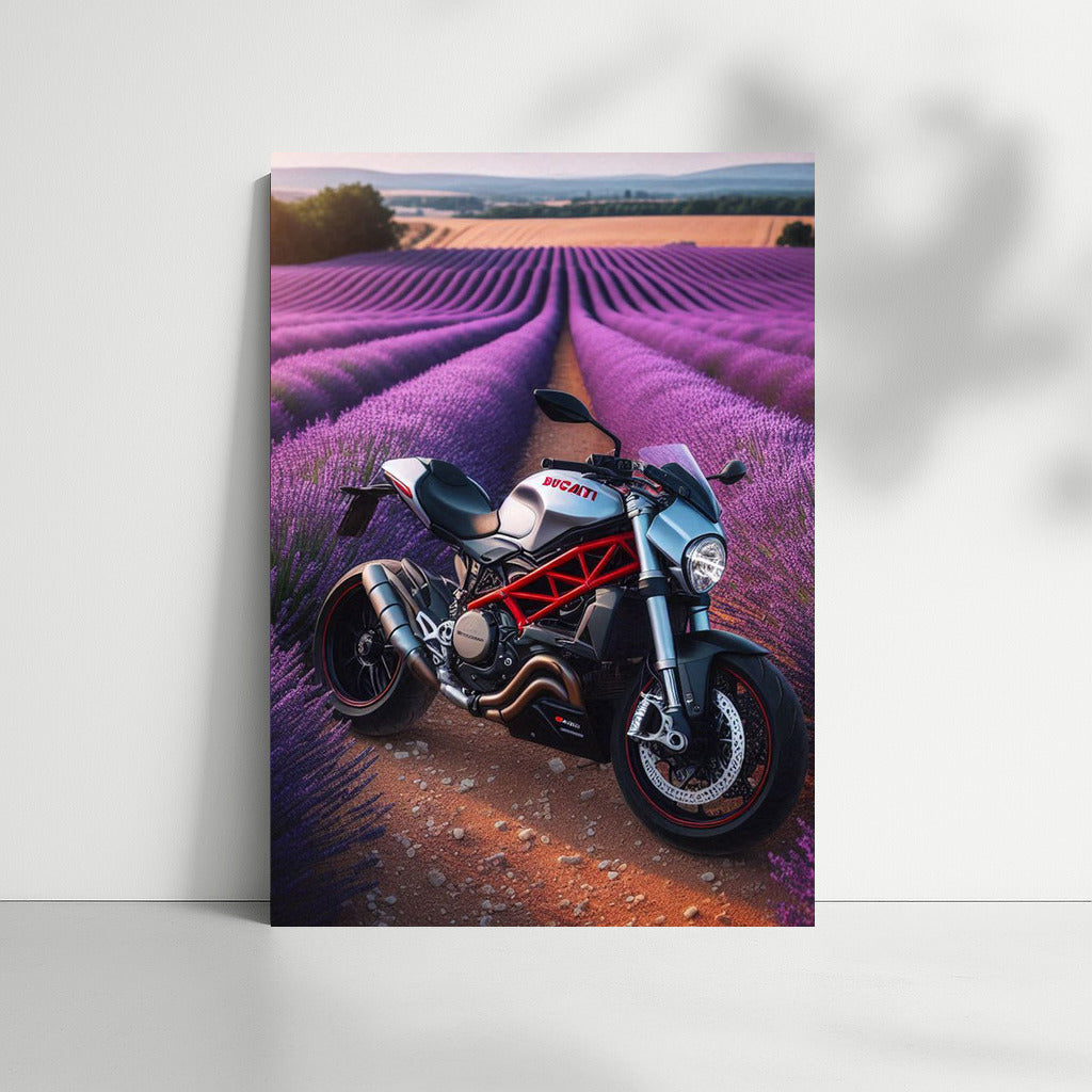 Ducati in Lavender Fields: Speed and Nature