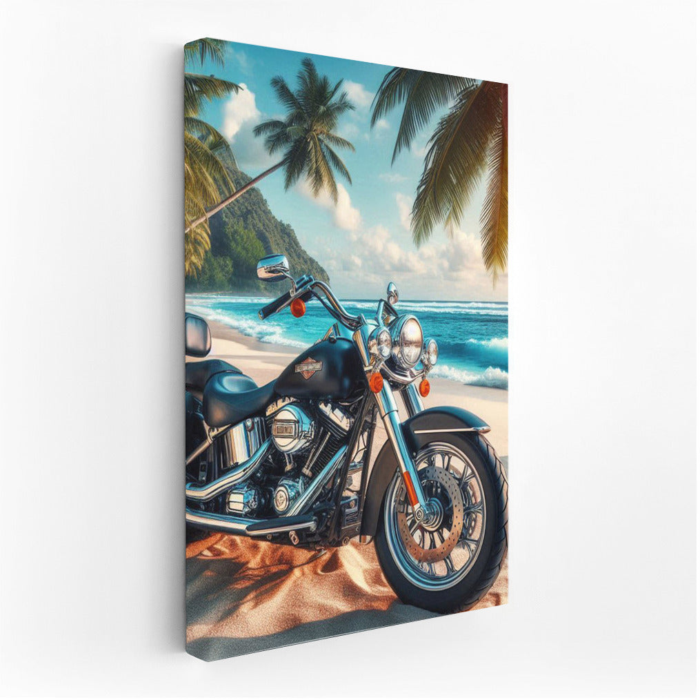 Harley Davidson: Freedom on the Tropical Coast