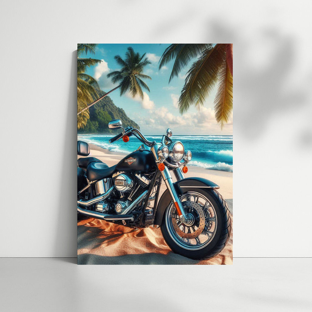 Harley Davidson: Freedom on the Tropical Coast