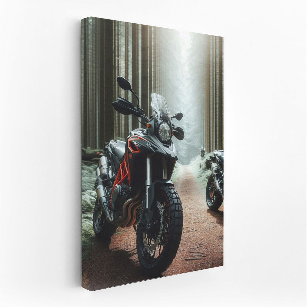 Freedom on the Forest Trail: Naked Bikes