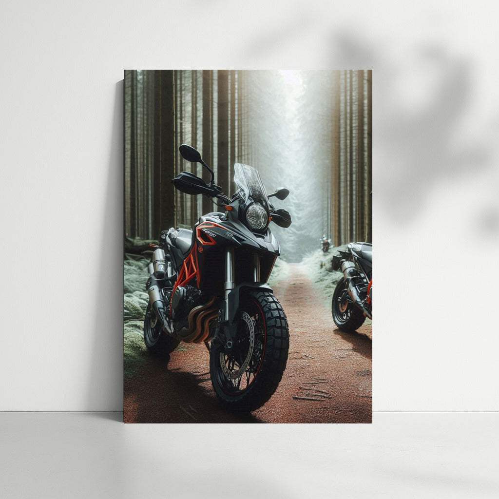 Freedom on the Forest Trail: Naked Bikes