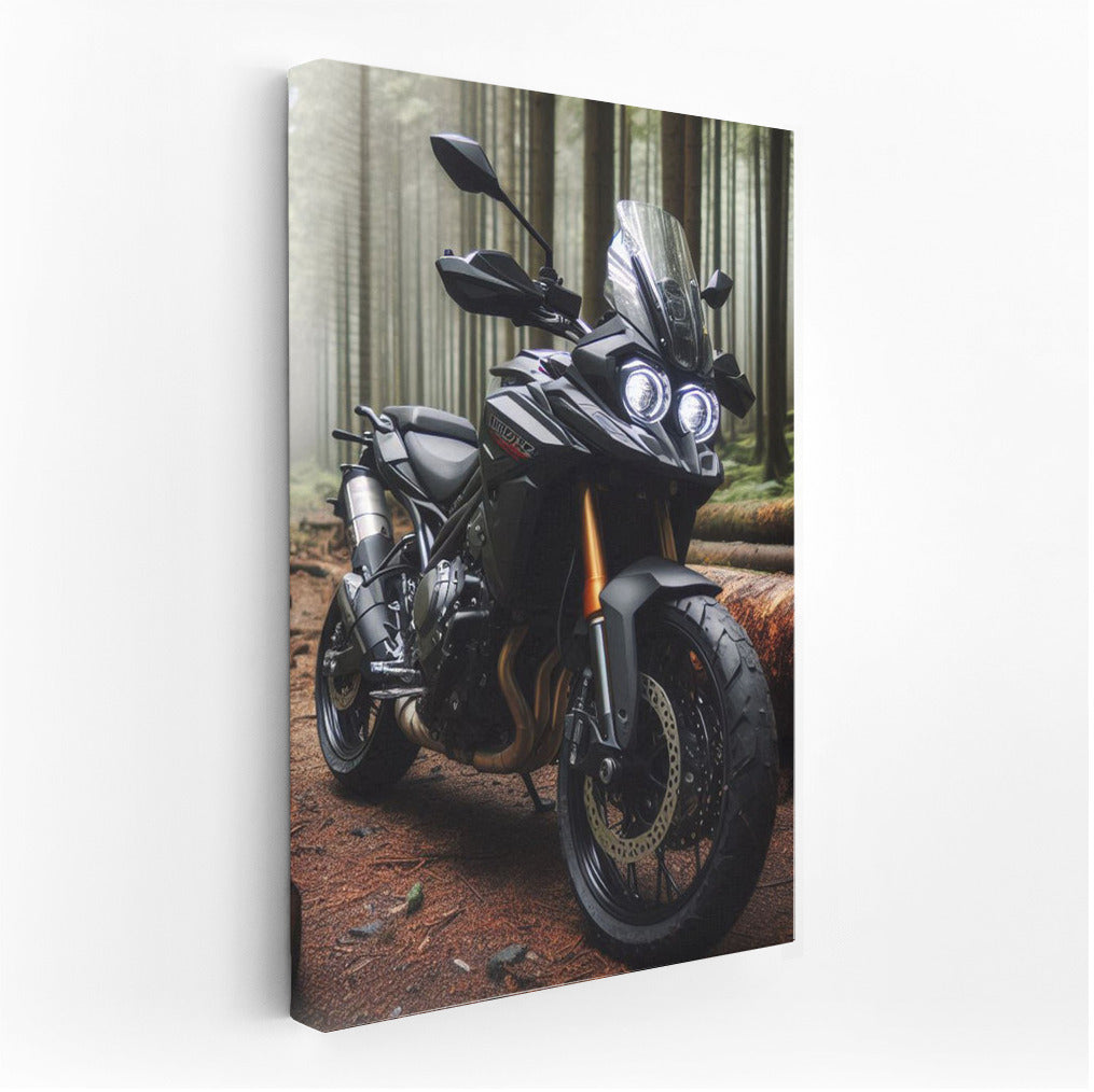 Freedom on the Forest Trail: Naked Bikes on the Move