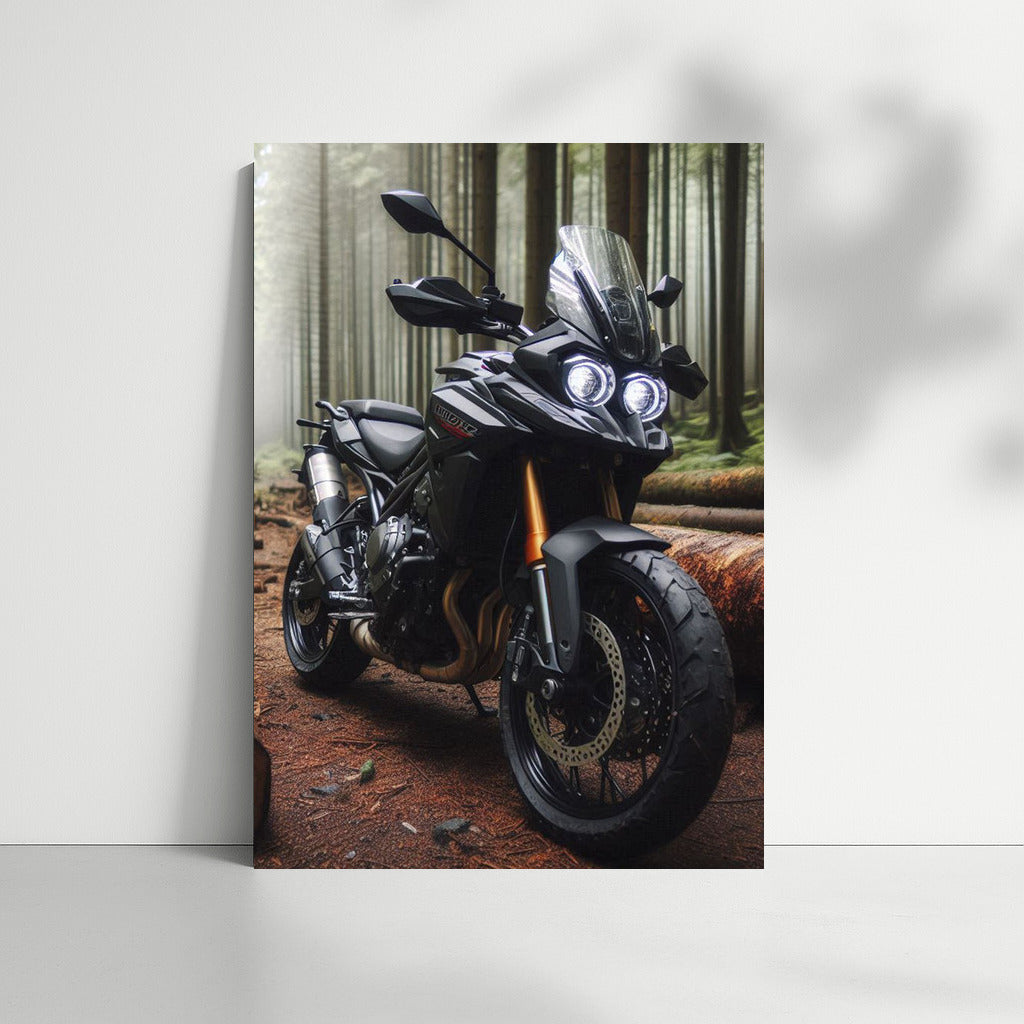 Freedom on the Forest Trail: Naked Bikes on the Move