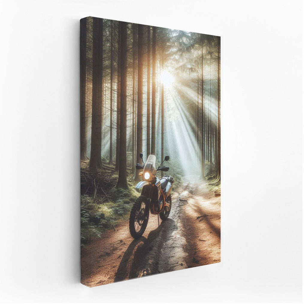 Scrambler on the Forest Trail: Sunbeams Through the Trees