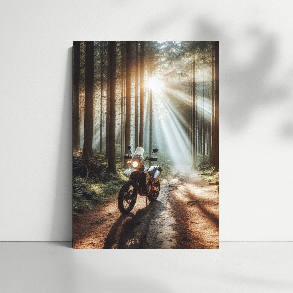 Scrambler on the Forest Trail: Sunbeams Through the Trees