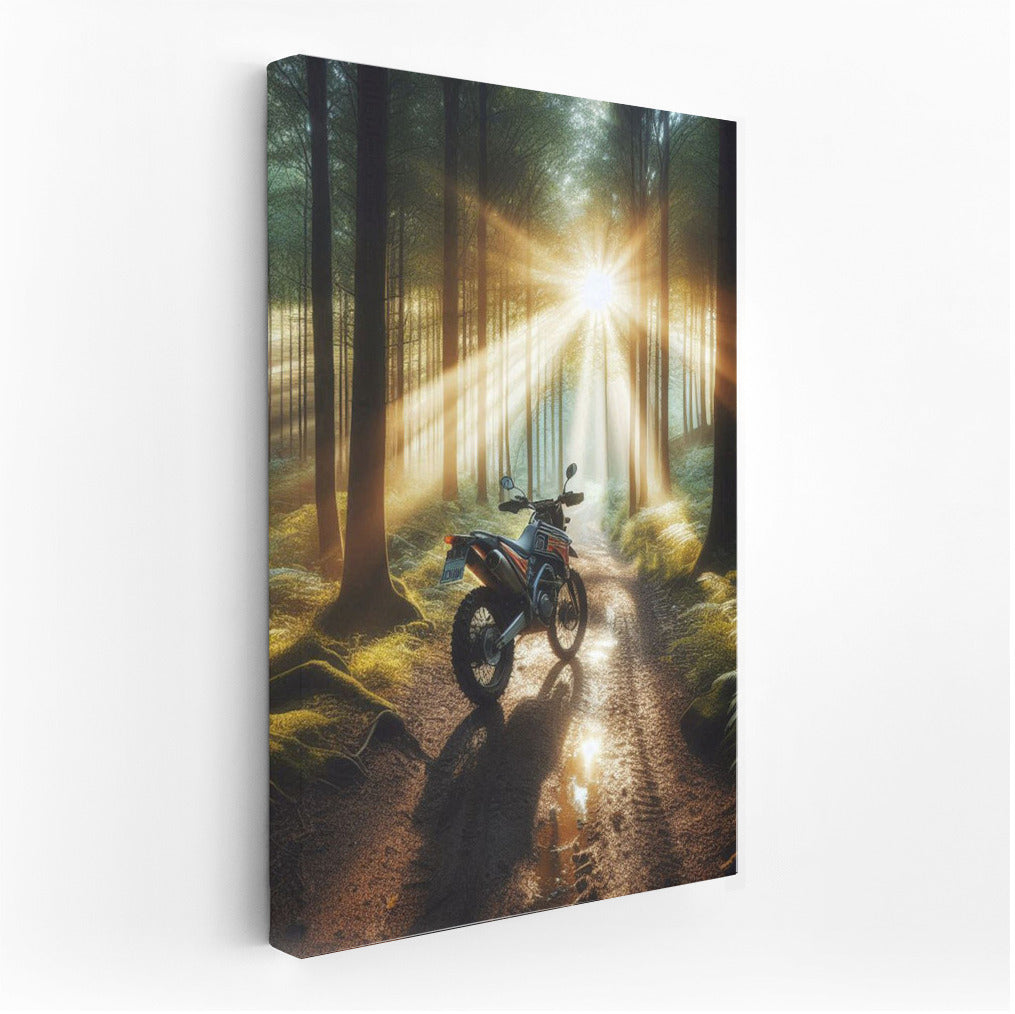 Scrambler in the Forest: Sunbeams on Winding Trails