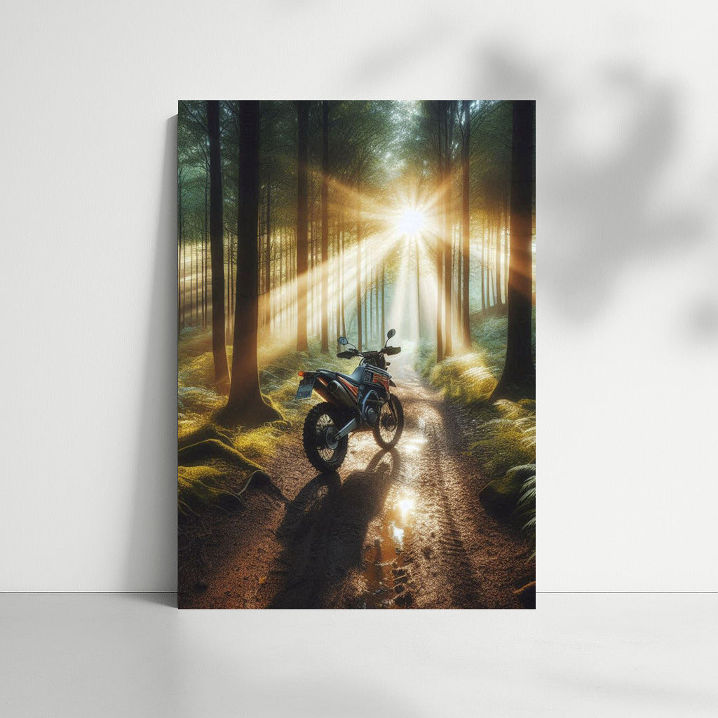 Scrambler in the Forest: Sunbeams on Winding Trails