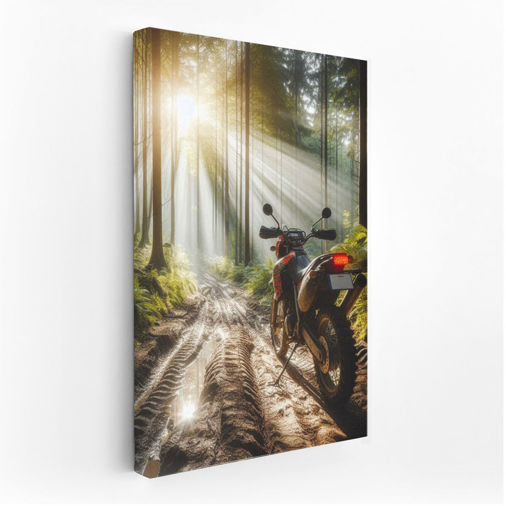 Scrambler on the Forest Trail: Adventure in the Sunshine