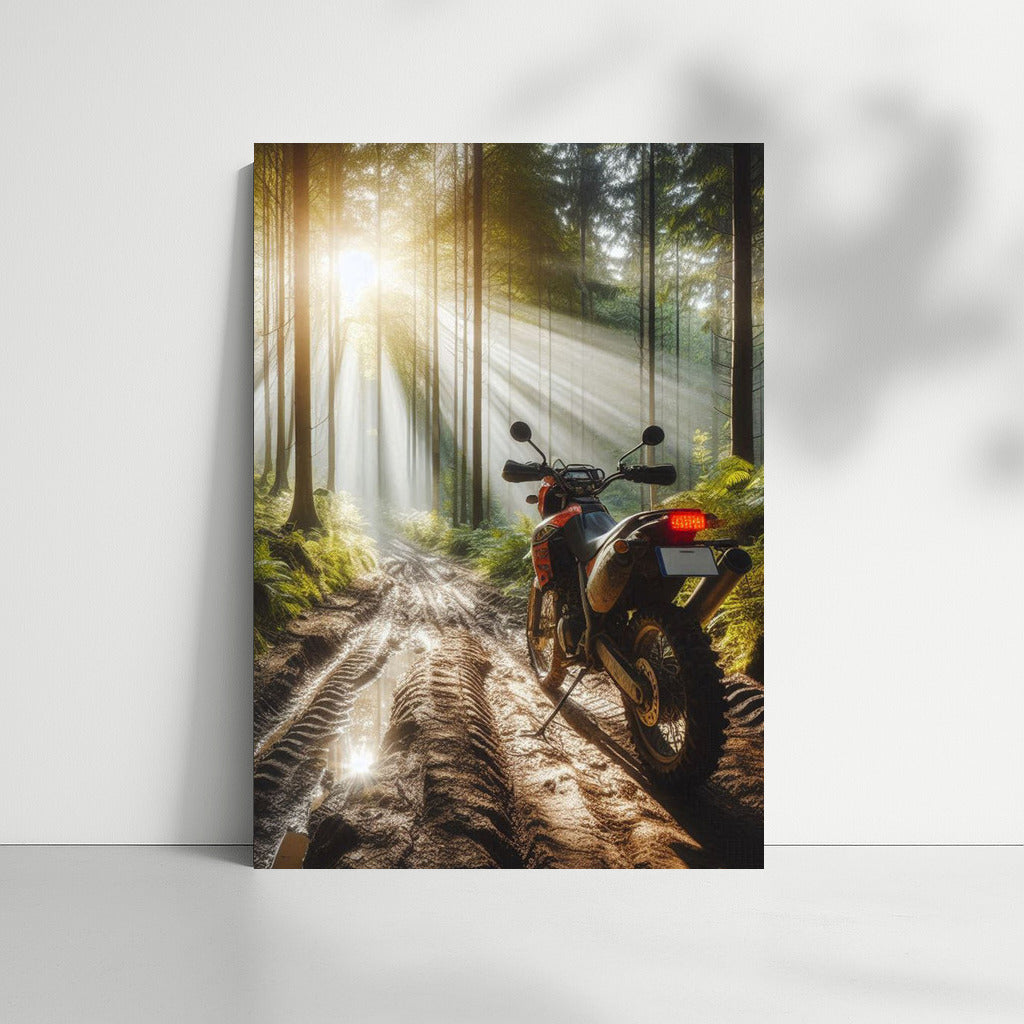 Scrambler on the Forest Trail: Adventure in the Sunshine