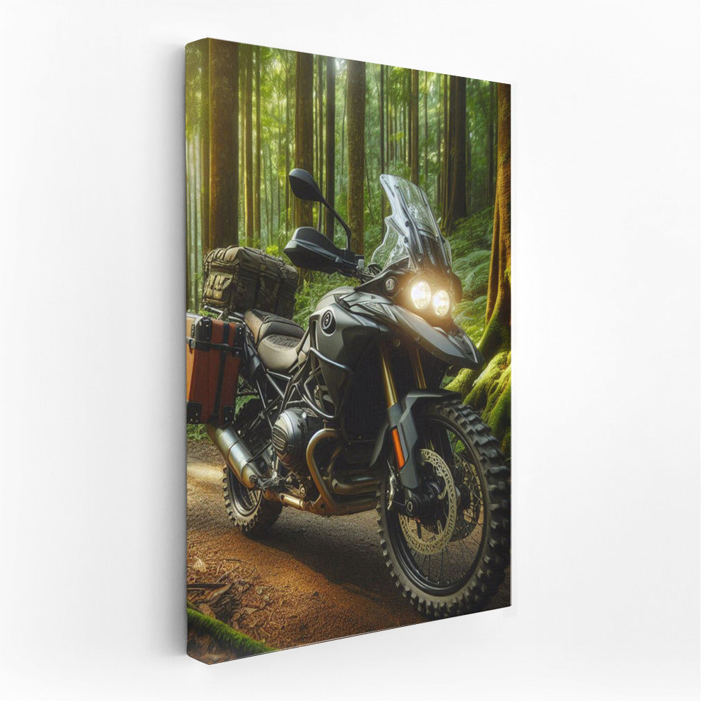 BMW Touring Motorcycle on the Forest Trail: The Spirit of Freedom and Adventure