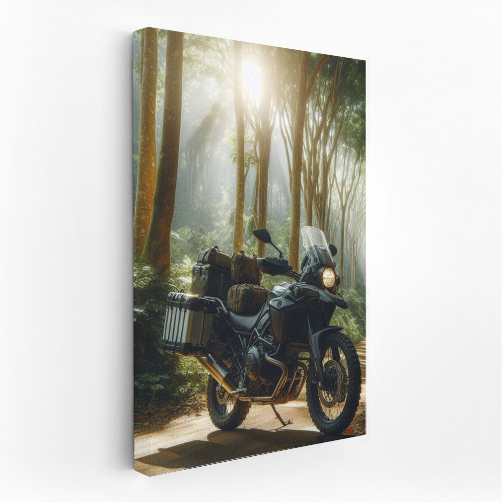 Freedom on Wheels: Motorcycle Touring on a Forest Trail