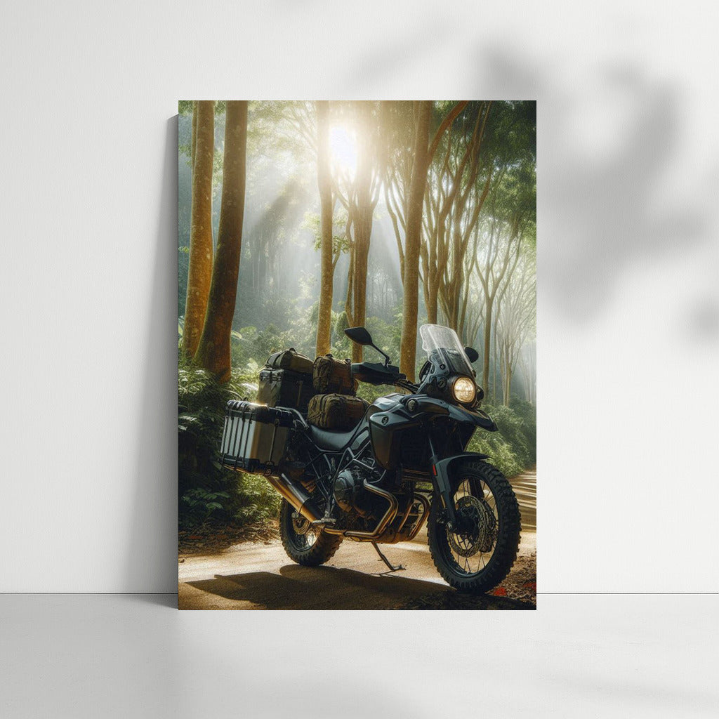 Freedom on Wheels: Motorcycle Touring on a Forest Trail