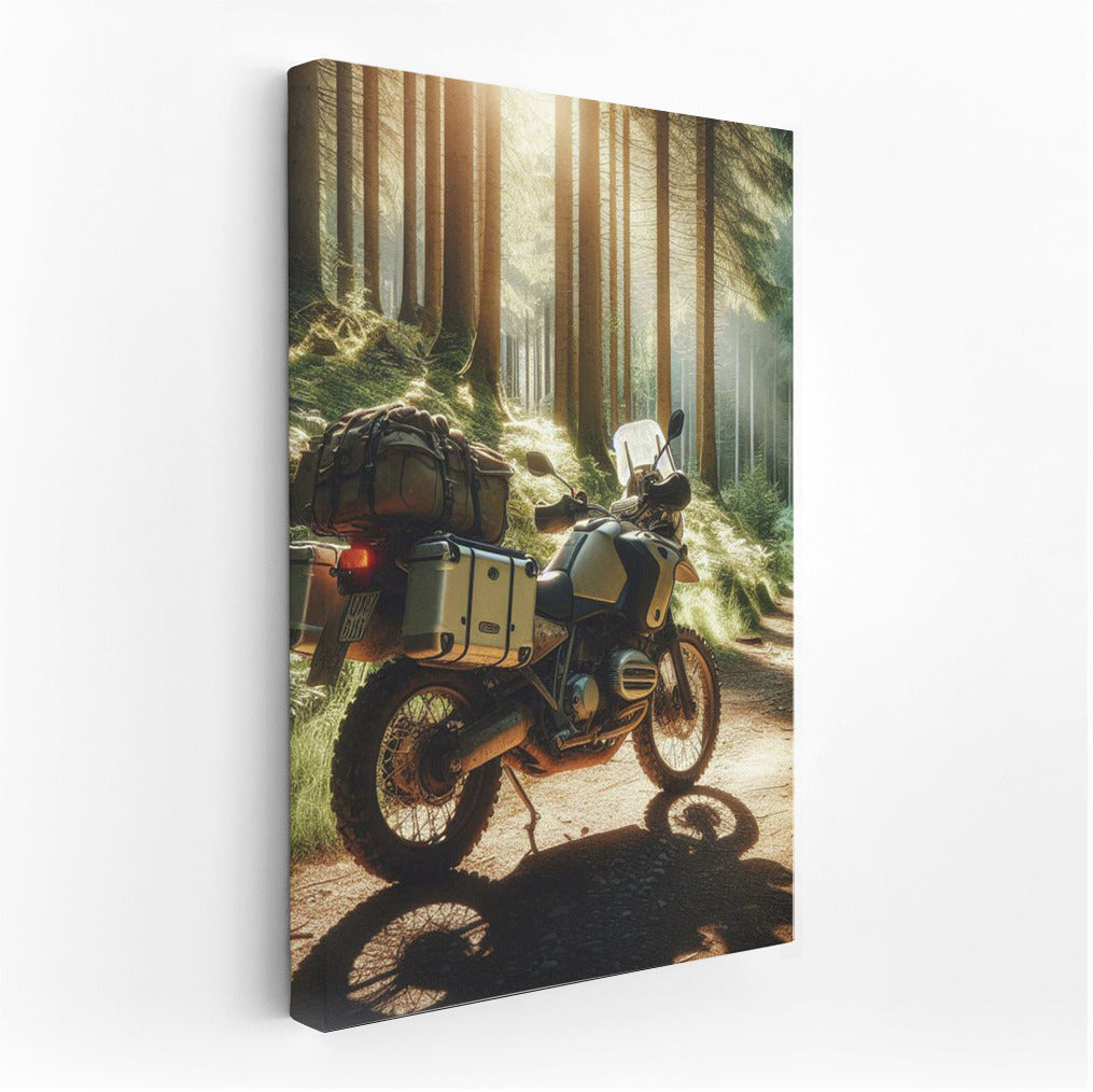 Touring motorcycle on a forest trail: Freedom under the treetops