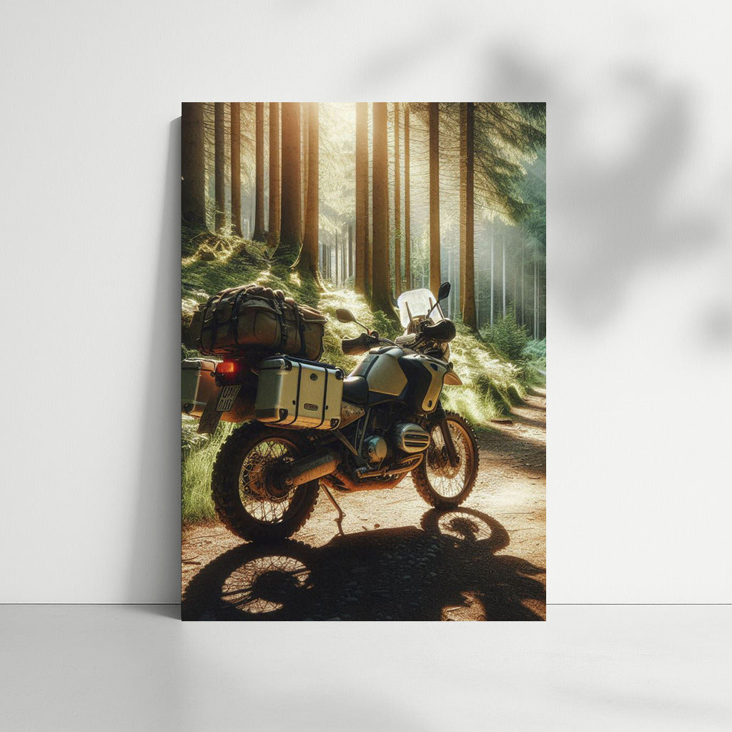 Touring motorcycle on a forest trail: Freedom under the treetops