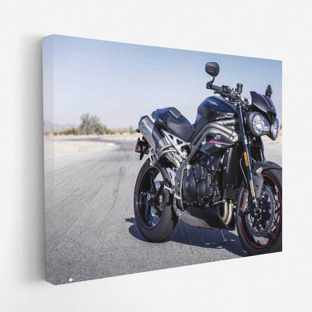 Triumph of Speed: Triumph Speed Triple RS Wall Mounted Motorcycle