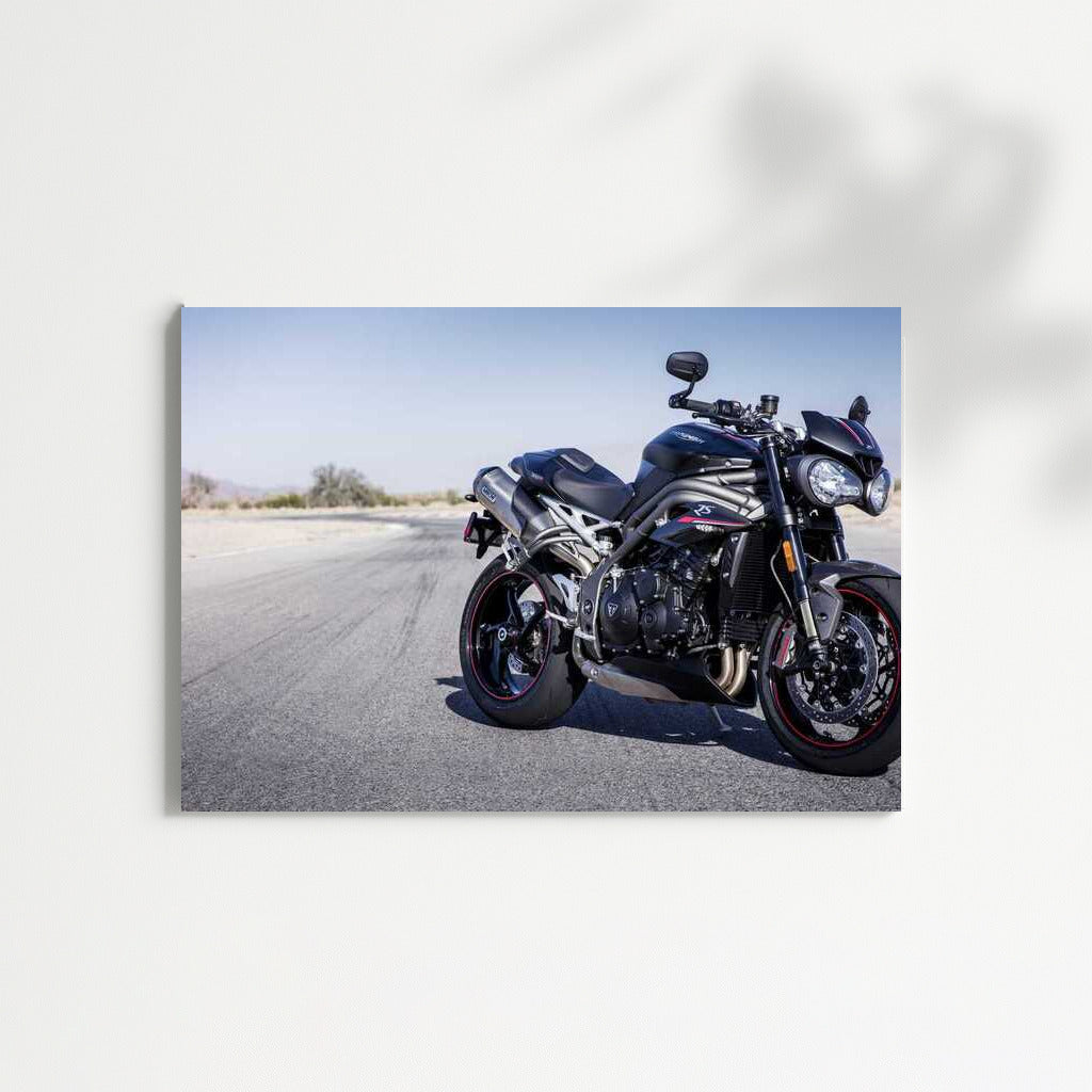 Triumph of Speed: Triumph Speed Triple RS Wall Mounted Motorcycle