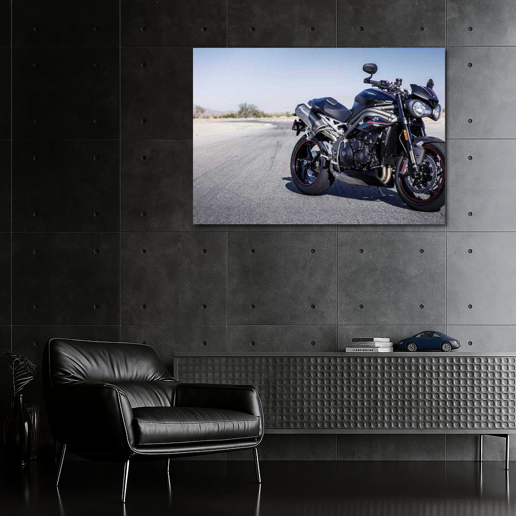 Triumph of Speed: Triumph Speed Triple RS Wall Mounted Motorcycle