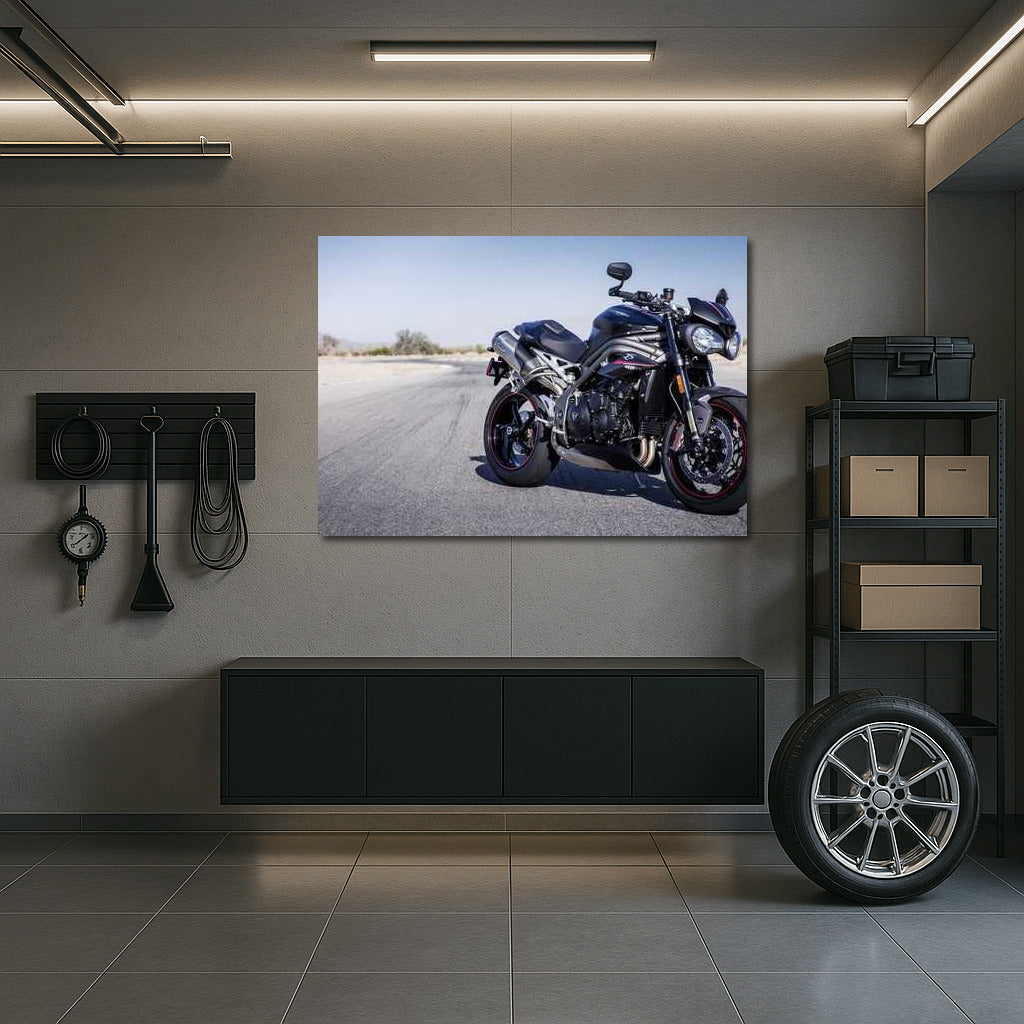 Triumph of Speed: Triumph Speed Triple RS Wall Mounted Motorcycle