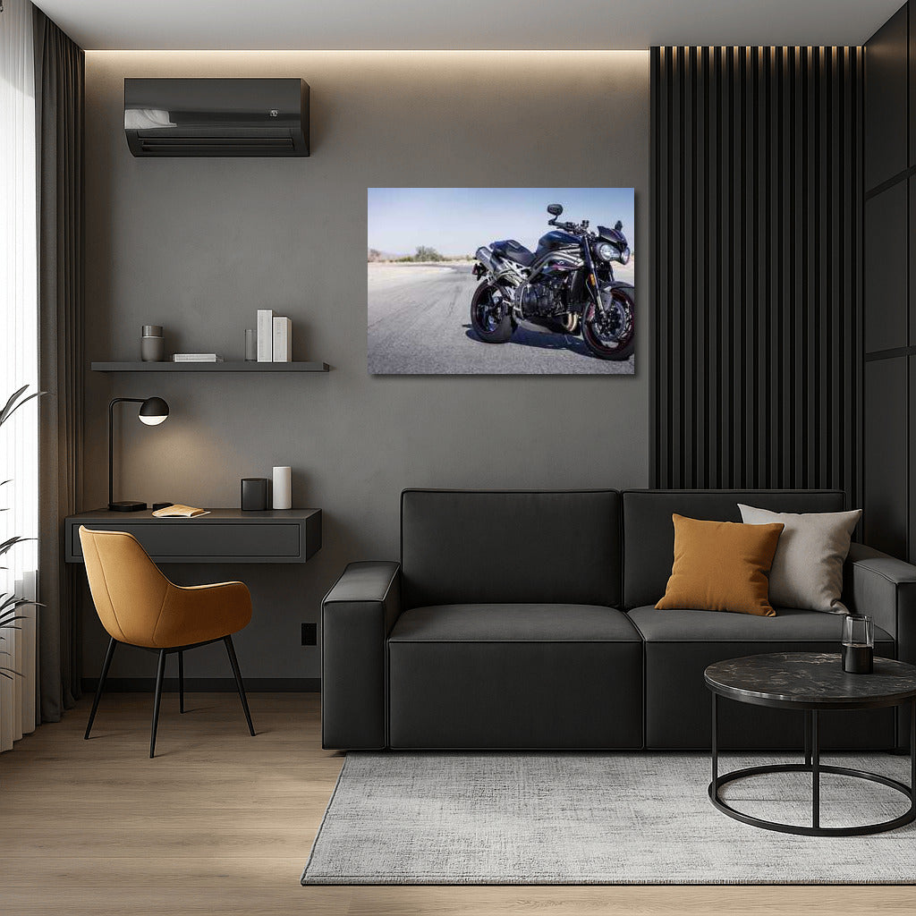 Triumph of Speed: Triumph Speed Triple RS Wall Mounted Motorcycle