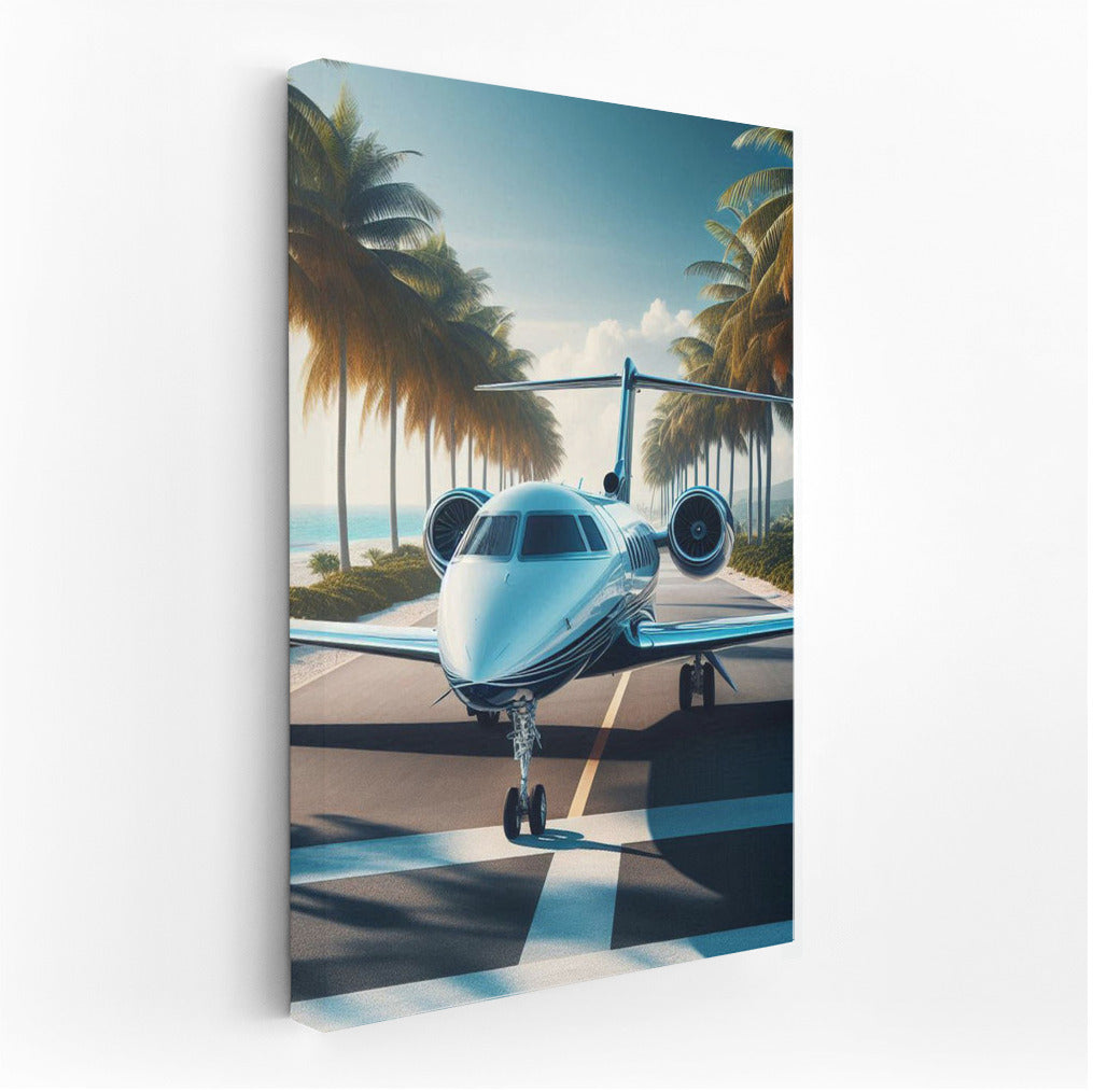 Private Jet Takeoff: Palms and Dreams