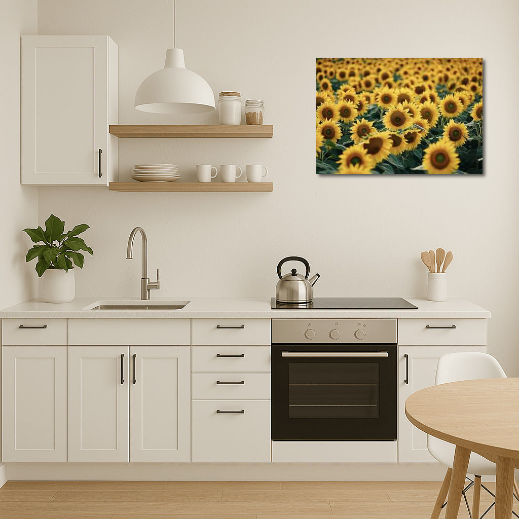 Golden Field of Sunflowers Helianthus: Brightness and Warmth