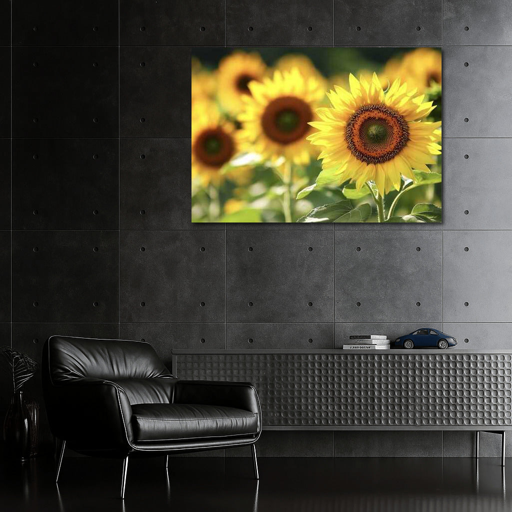 The Charm of Sunflower Field: The Beauty of Nature in the Interior