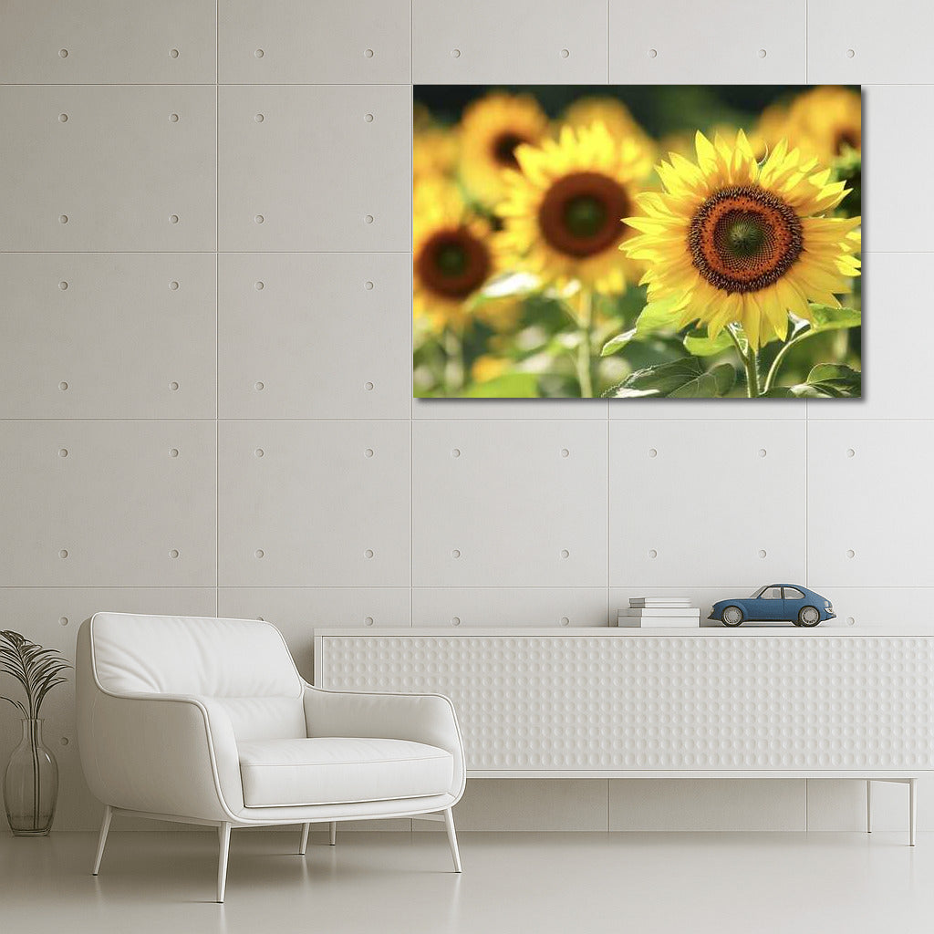 The Charm of Sunflower Field: The Beauty of Nature in the Interior