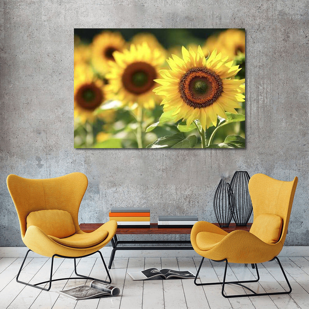 The Charm of Sunflower Field: The Beauty of Nature in the Interior