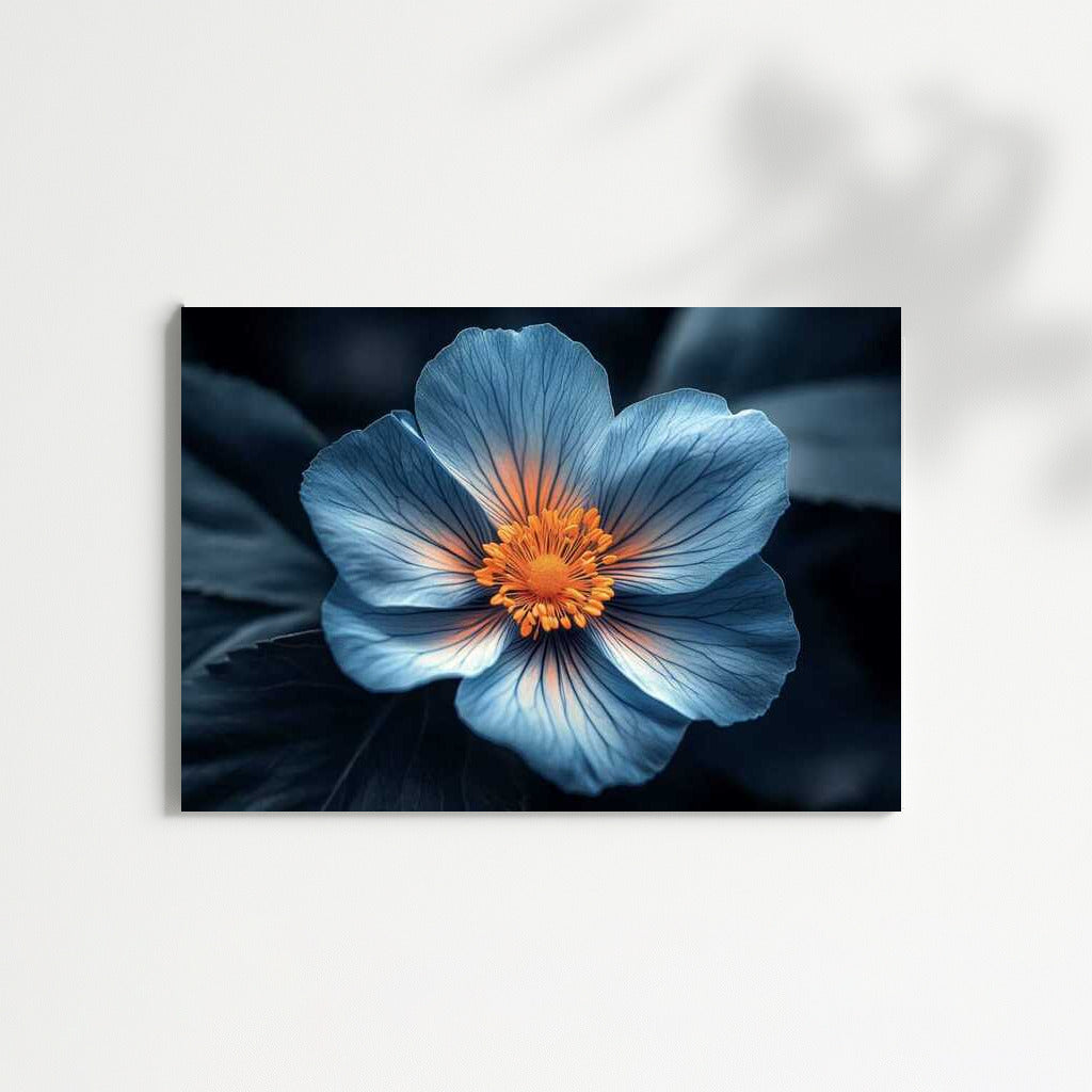 Blue Himalayan Poppy: An Elegant Flower for the Interior