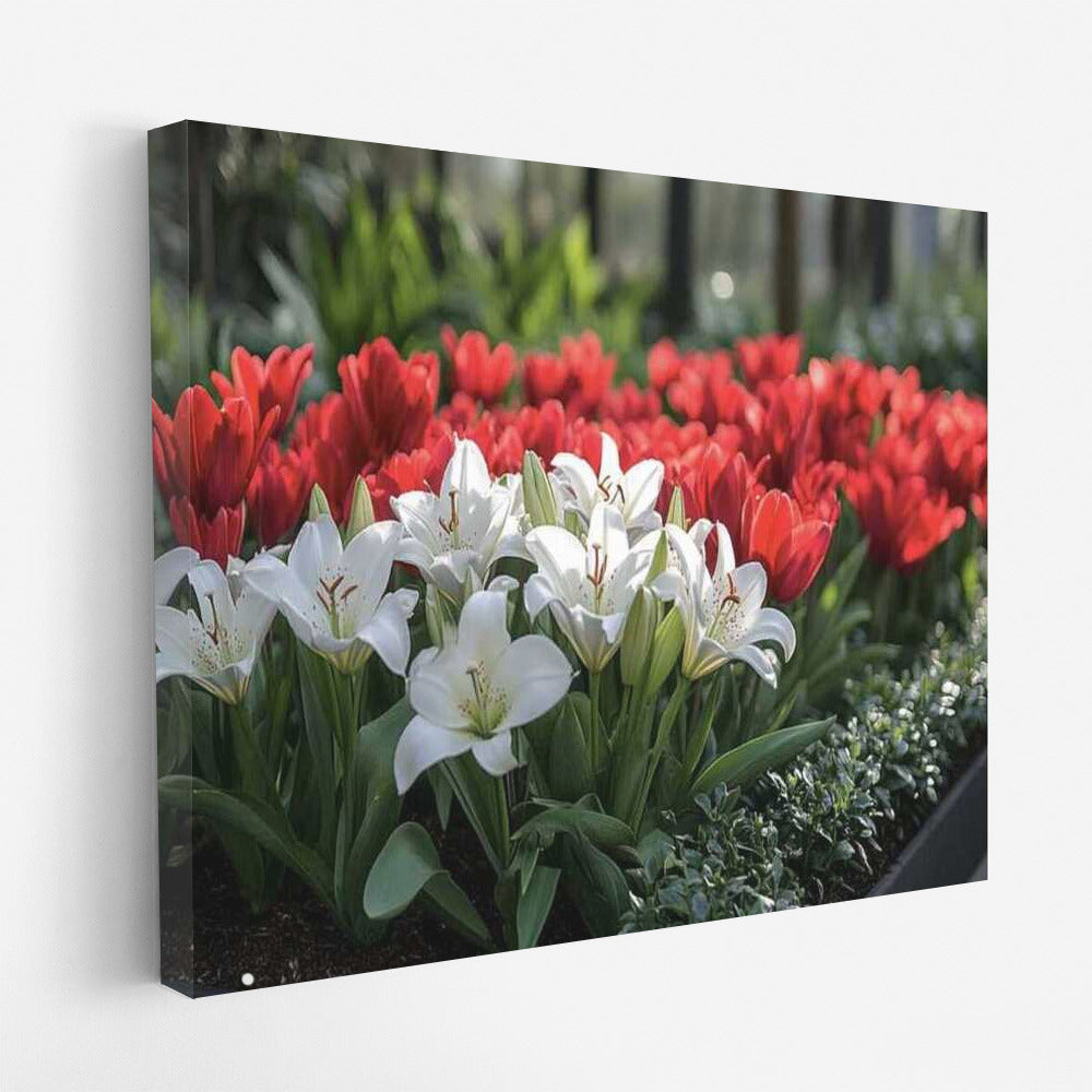 Flower Symphony: Red Tulips and White Lilies on Your Wall