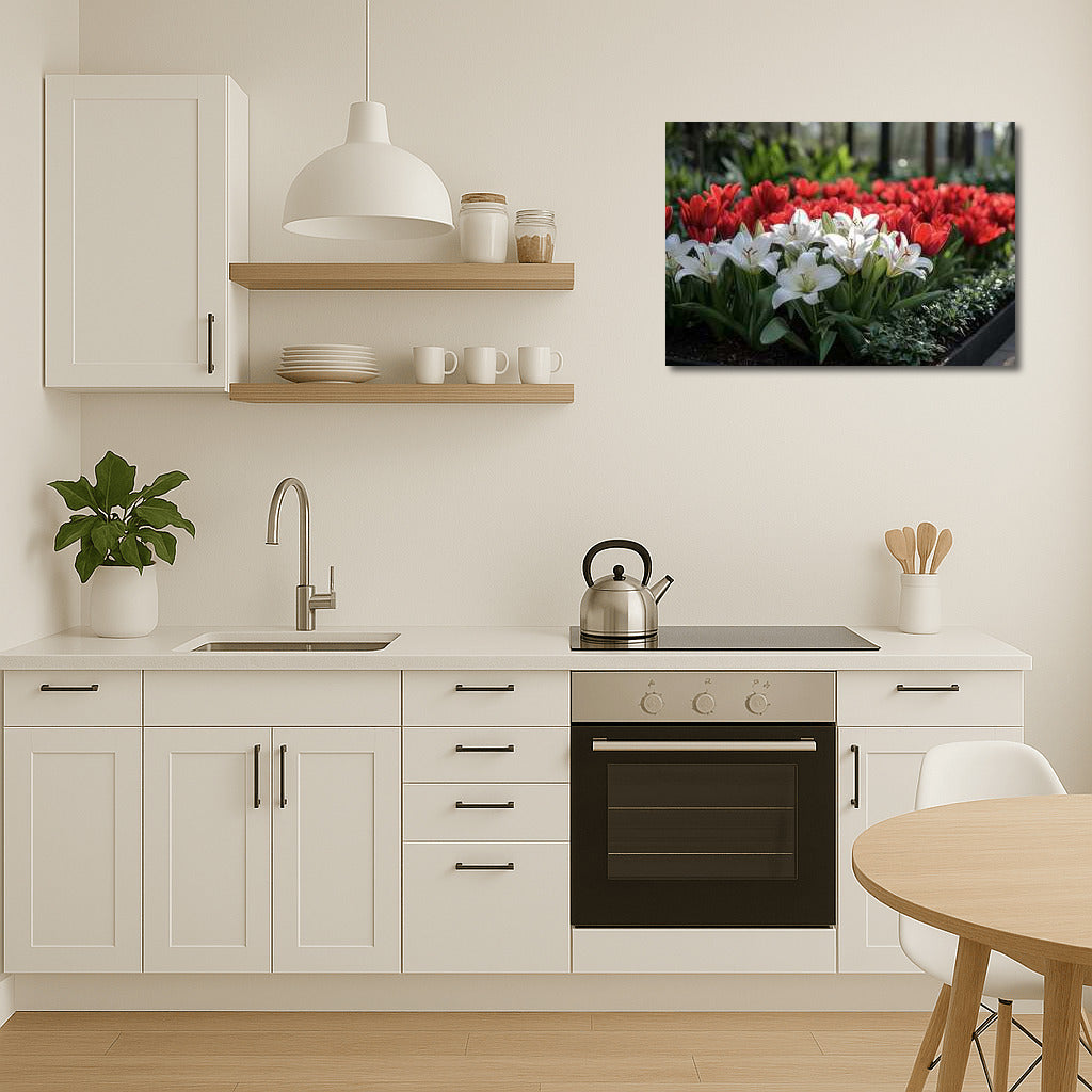 Flower Symphony: Red Tulips and White Lilies on Your Wall