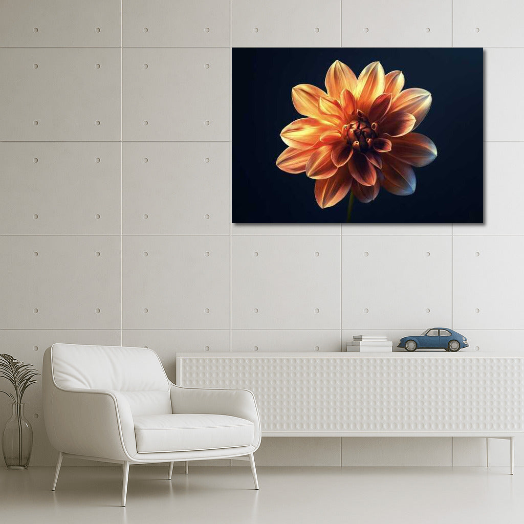 Elegant Dahlia: Single Flower for Comfort and Style