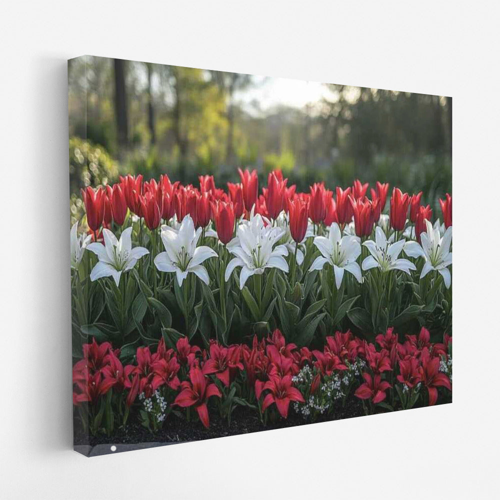 Dance of Tulips and Lilies: Red and White Flowers for Decor