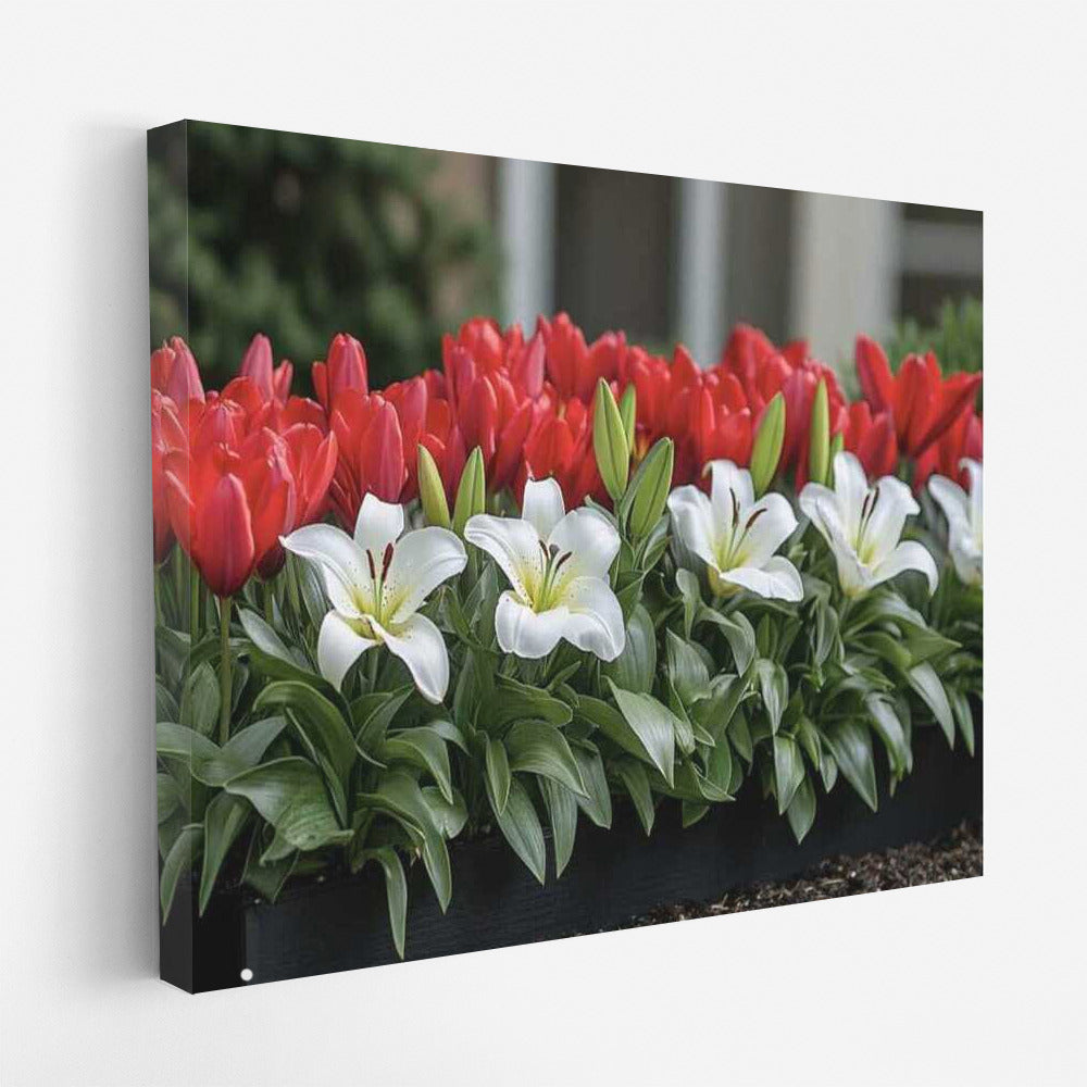 Lilies and Tulips: Red and White Symphony of Flowers for the Interior