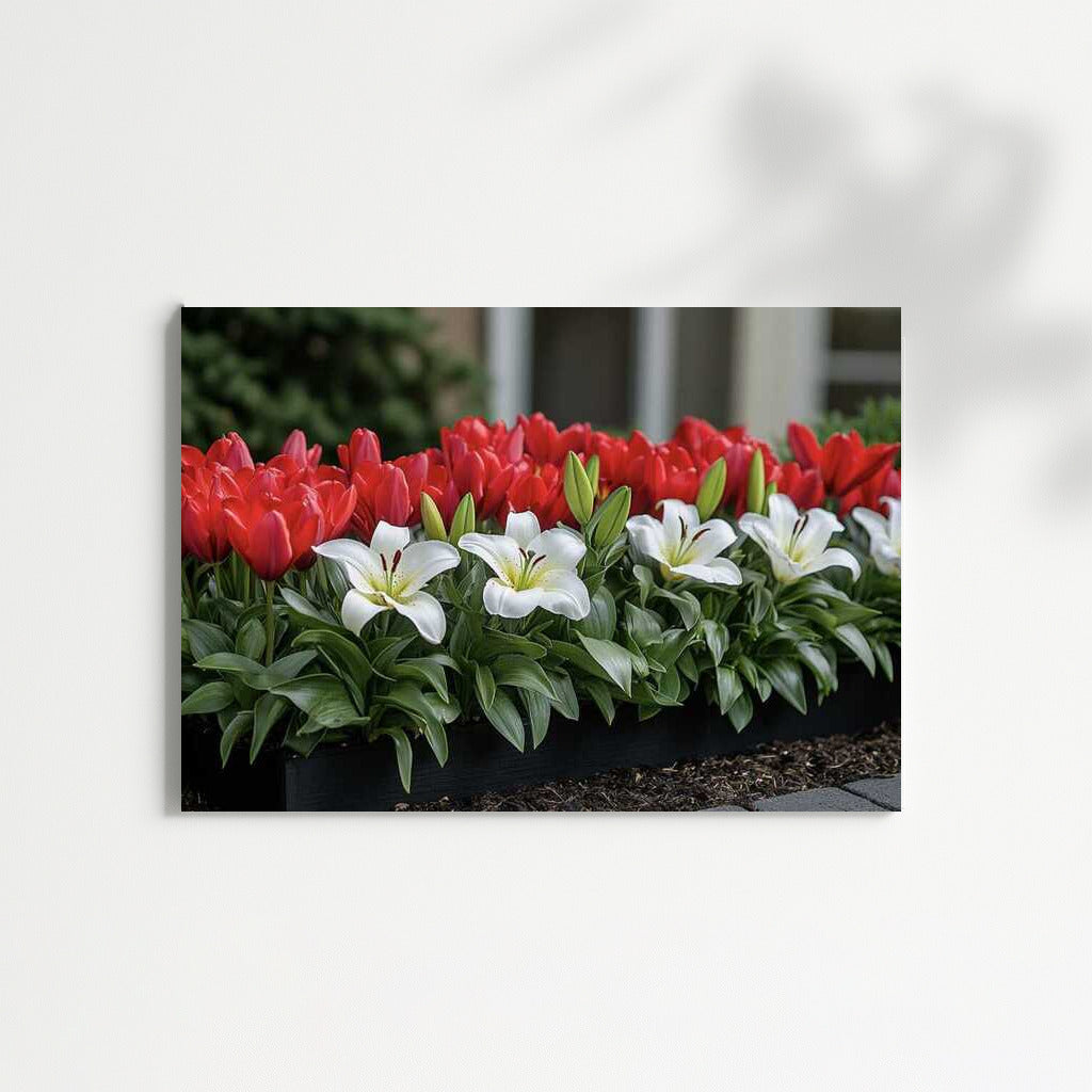 Lilies and Tulips: Red and White Symphony of Flowers for the Interior