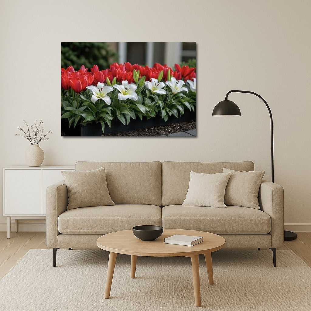 Lilies and Tulips: Red and White Symphony of Flowers for the Interior