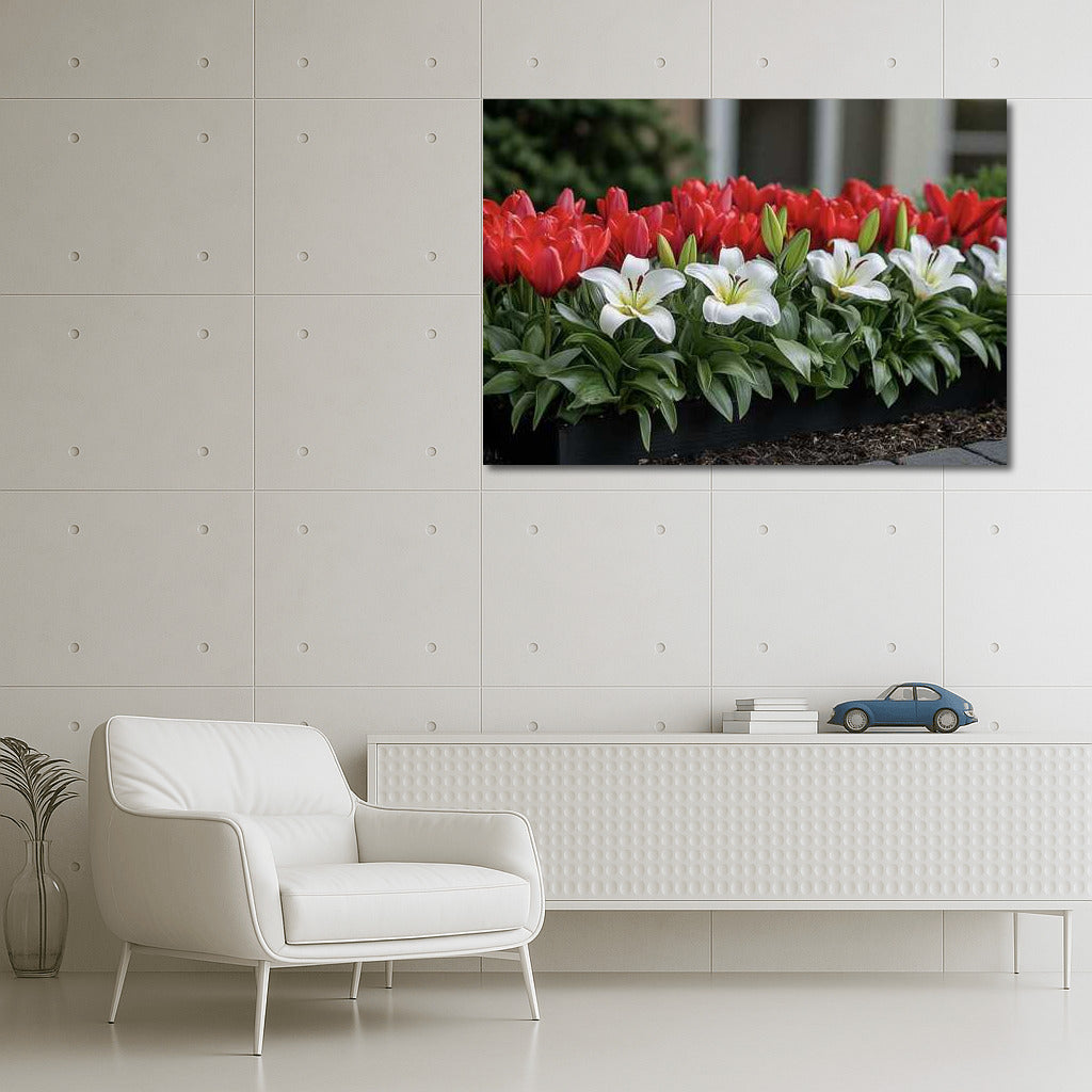 Lilies and Tulips: Red and White Symphony of Flowers for the Interior