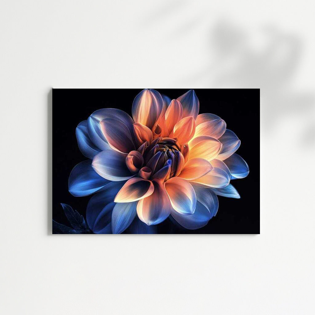 Lonely Dahlia: Bright Flower on Dark Background