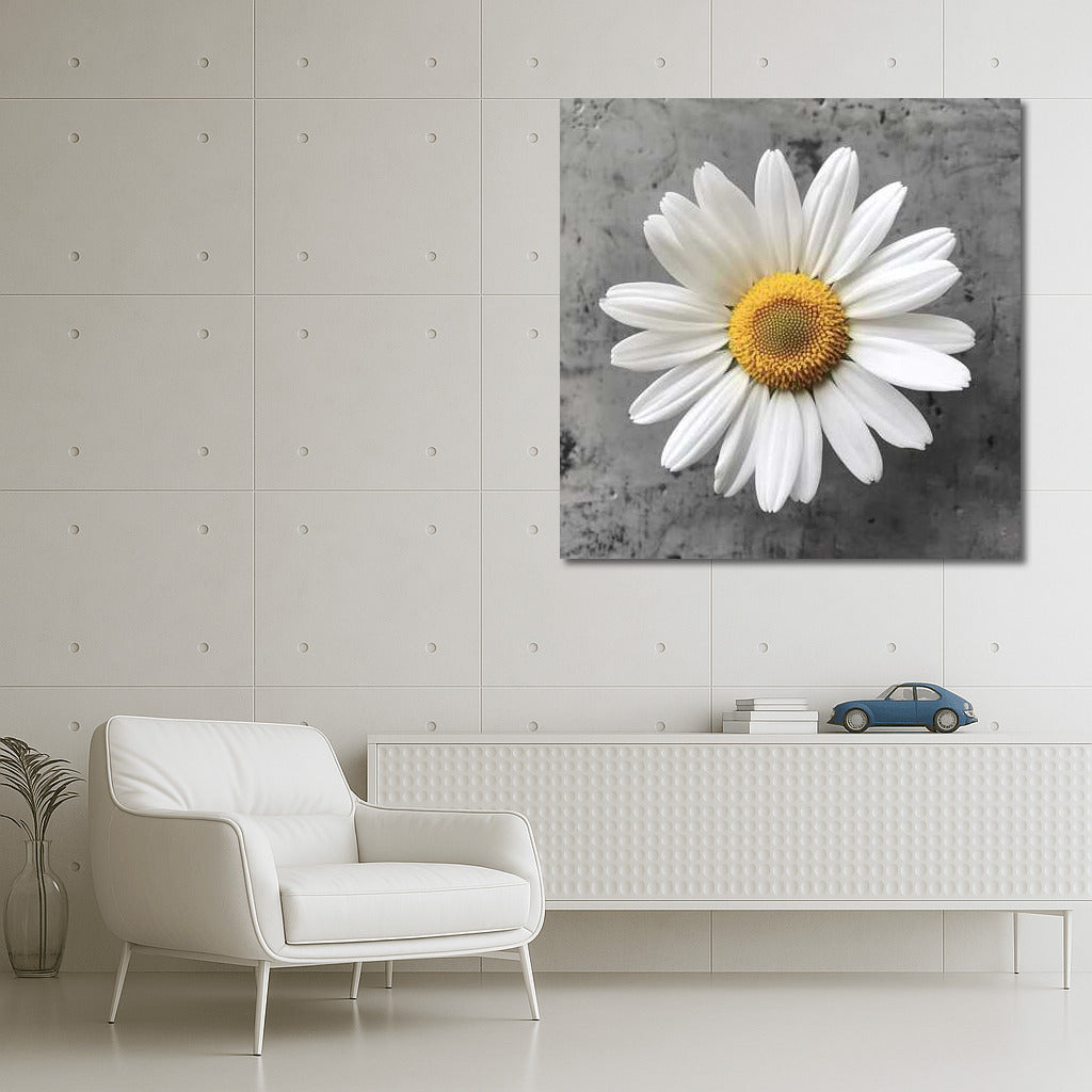 Snow-White Chamomile: Tenderness of Nature in the Interior