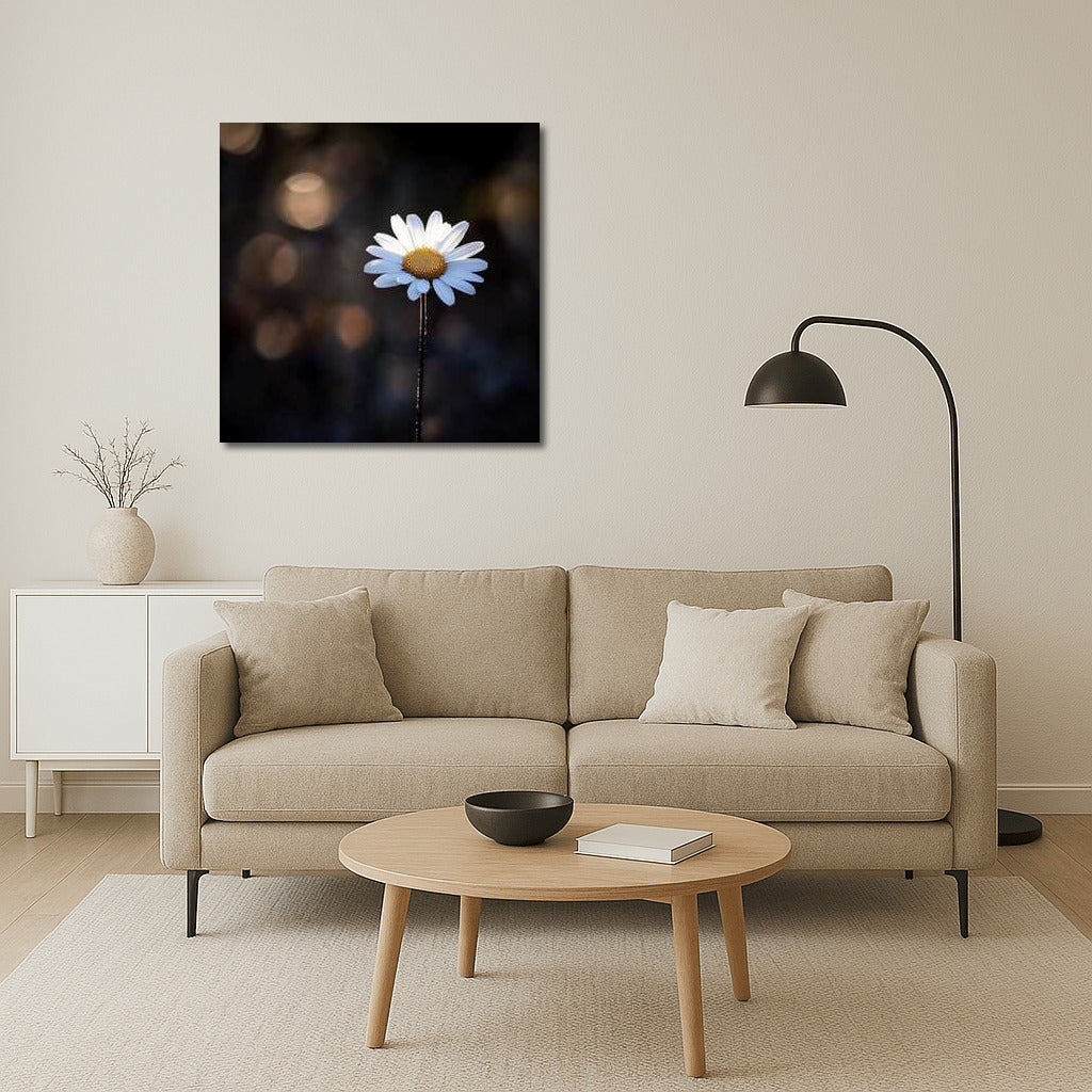 Chamomile Leicanthemum: Mysterious Floral Harmony for the Interior