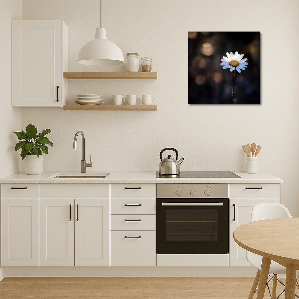 Chamomile Leicanthemum: Mysterious Floral Harmony for the Interior