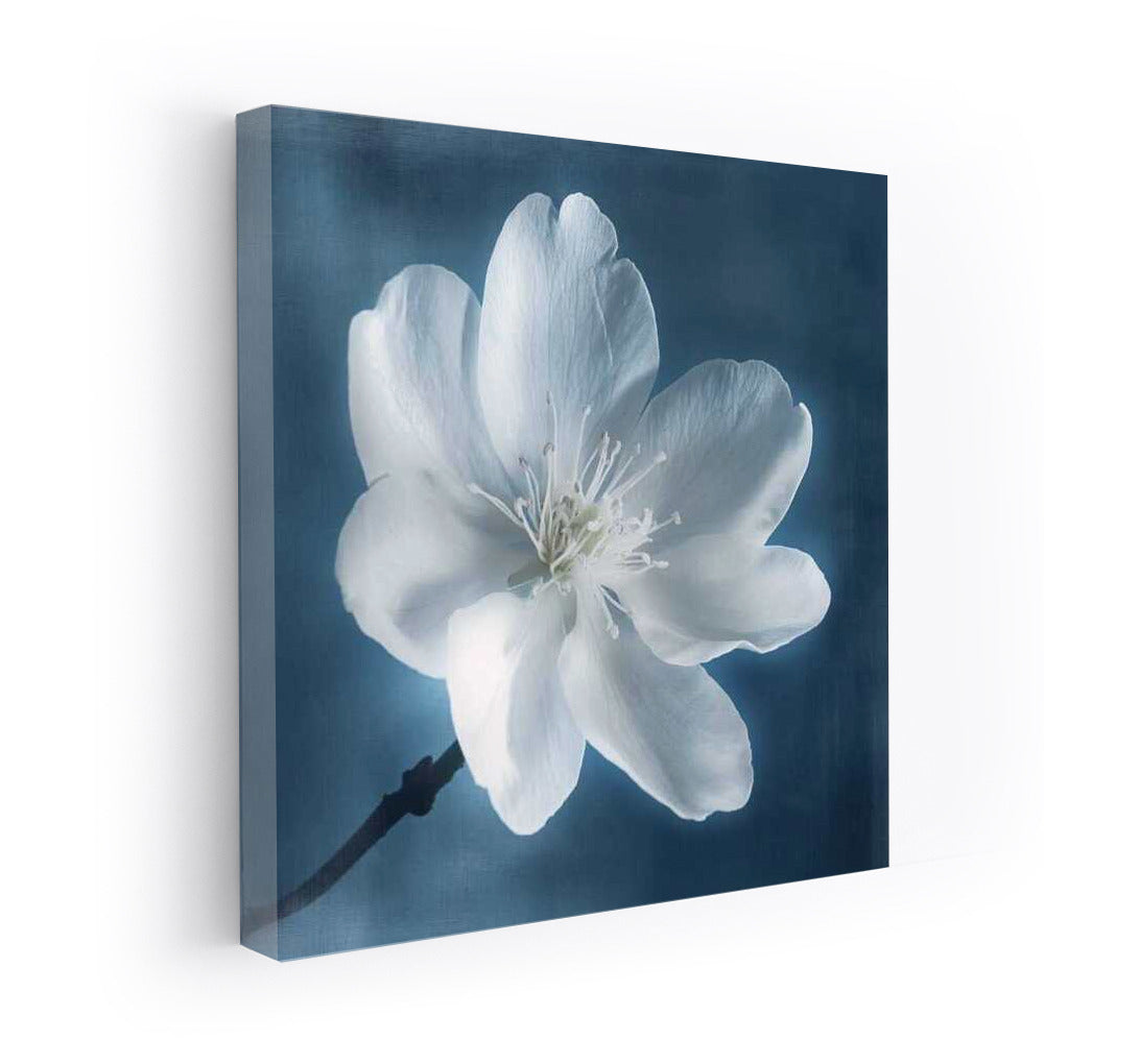 Apple Blossom: Delicate Flower in the Interior