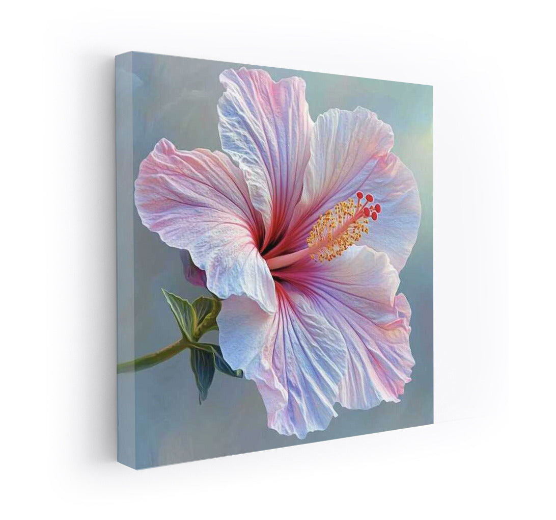 Tropical Hibiscus: The Grace of the Rosa-Sinensis Flower