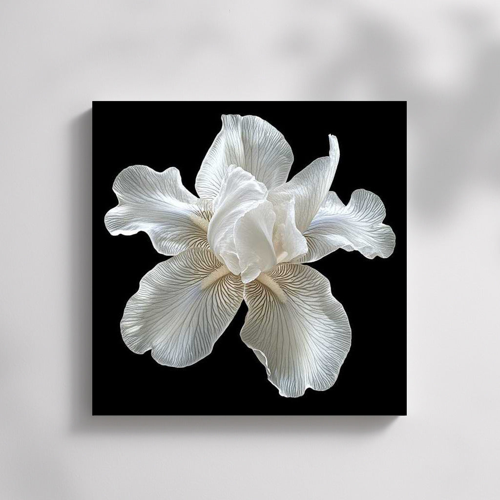 Iris White Pearl: Mother of Pearl Flower for Interior