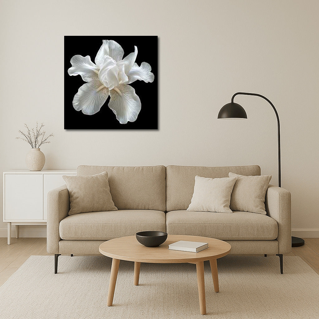 Iris White Pearl: Mother of Pearl Flower for Interior