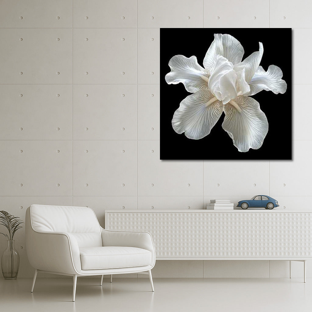 Iris White Pearl: Mother of Pearl Flower for Interior