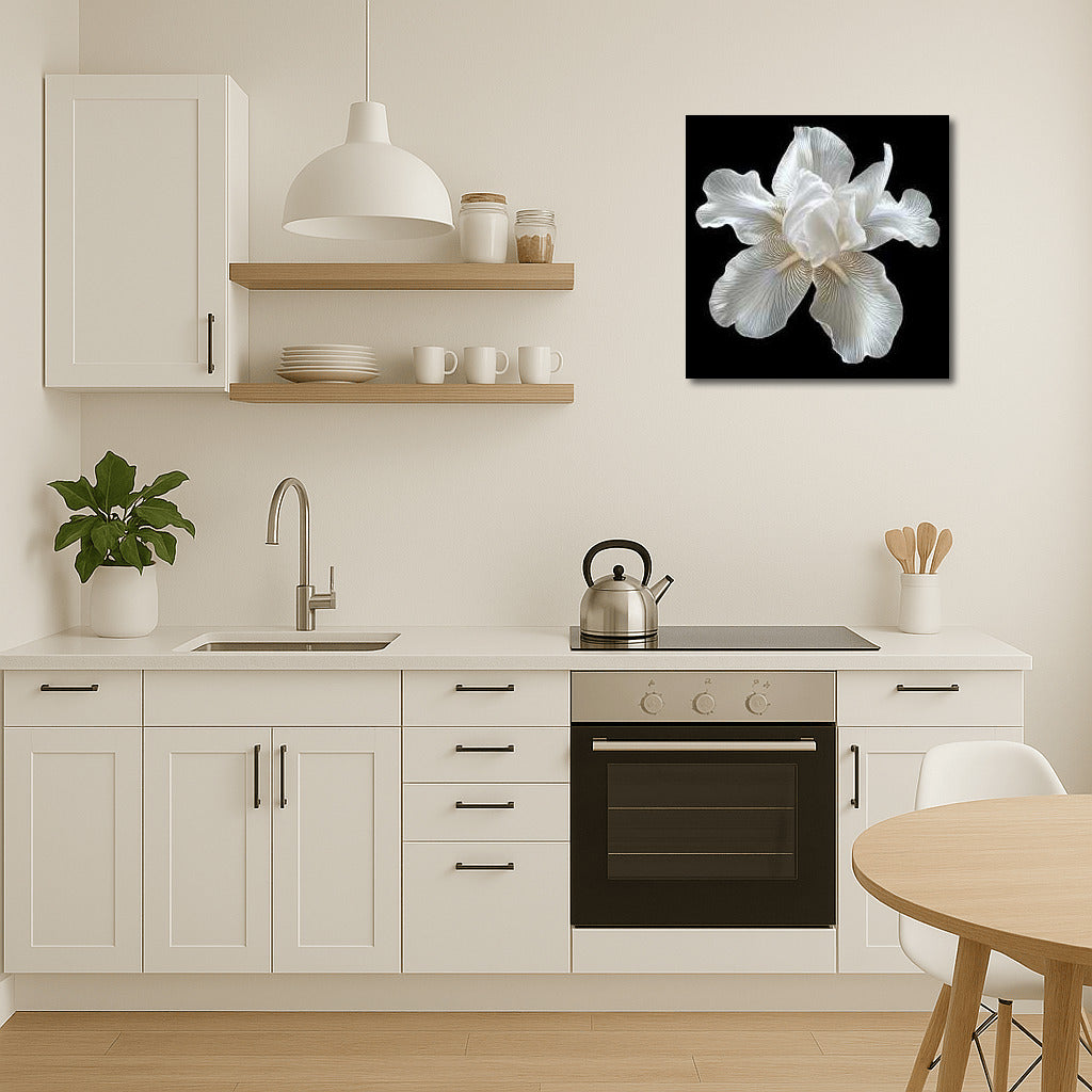 Iris White Pearl: Mother of Pearl Flower for Interior